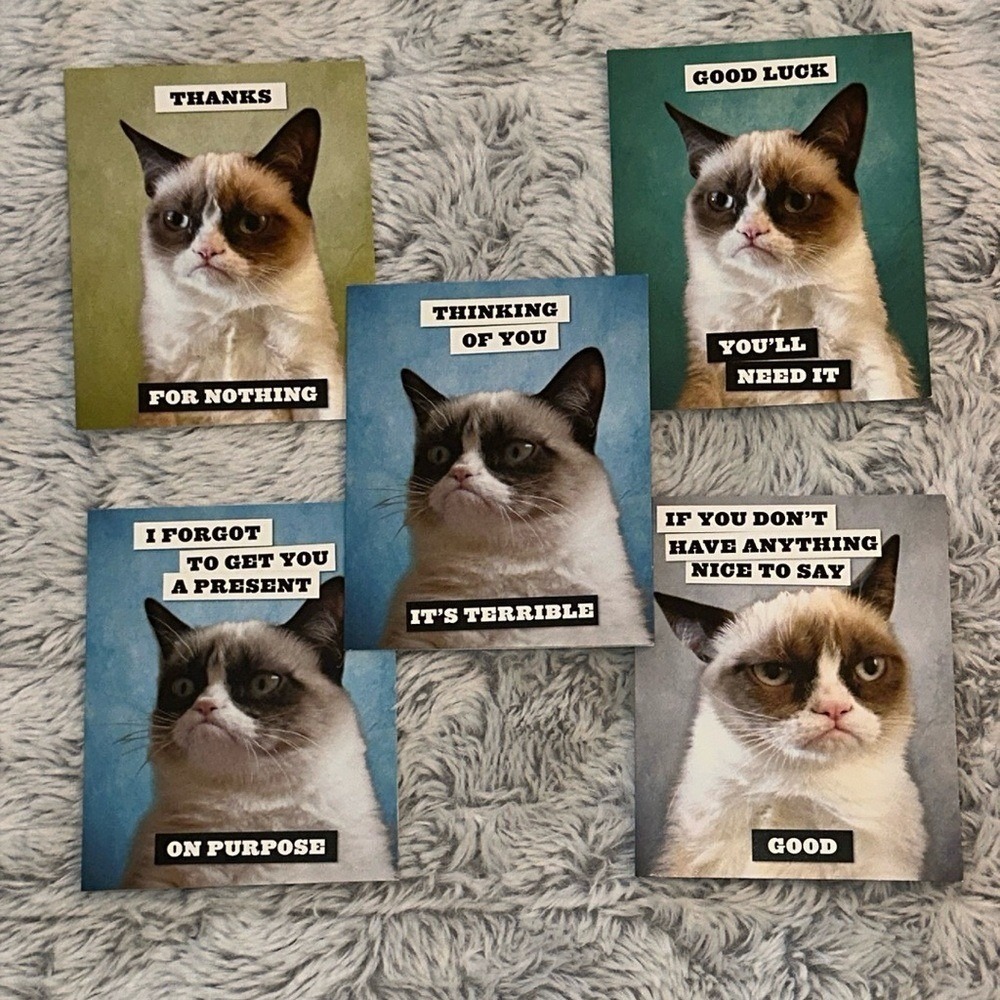 Grumpy Cat 20 Notecards Set Meme Stationery Envelopes Funny Humorous Gift Cards